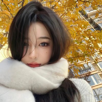 基督山之子